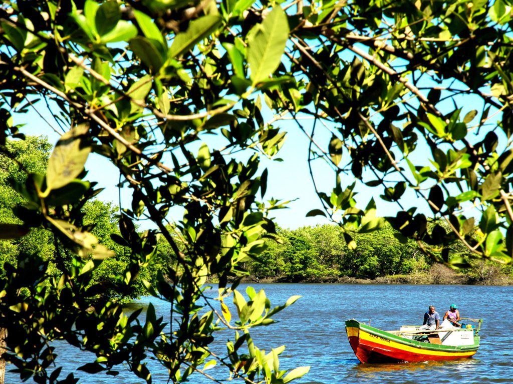 Barco de pesca