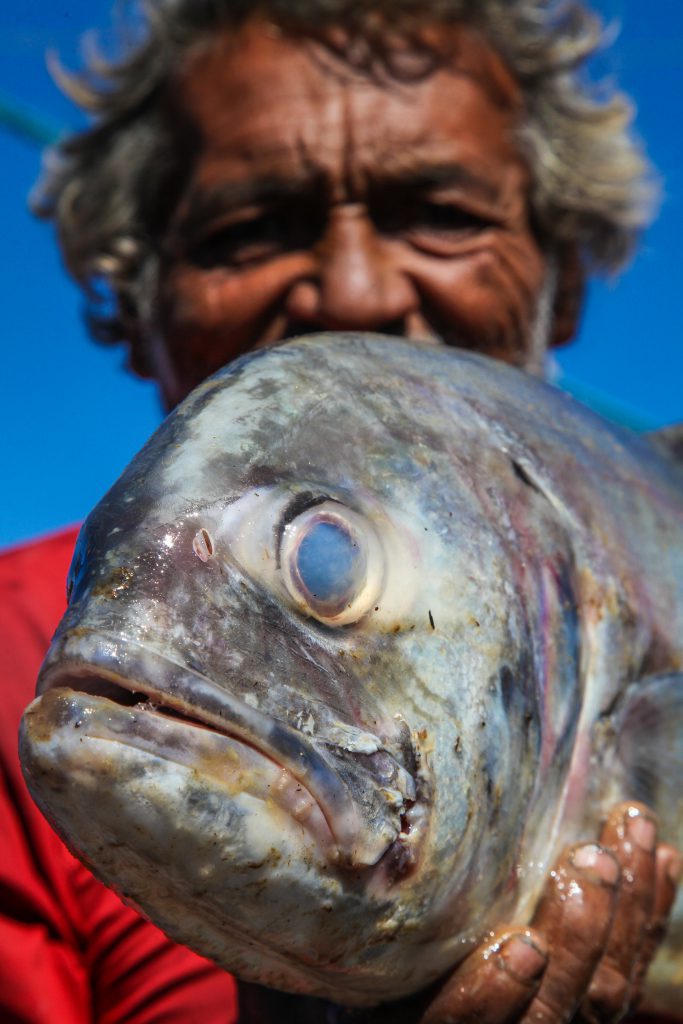 O peixe e o pescador