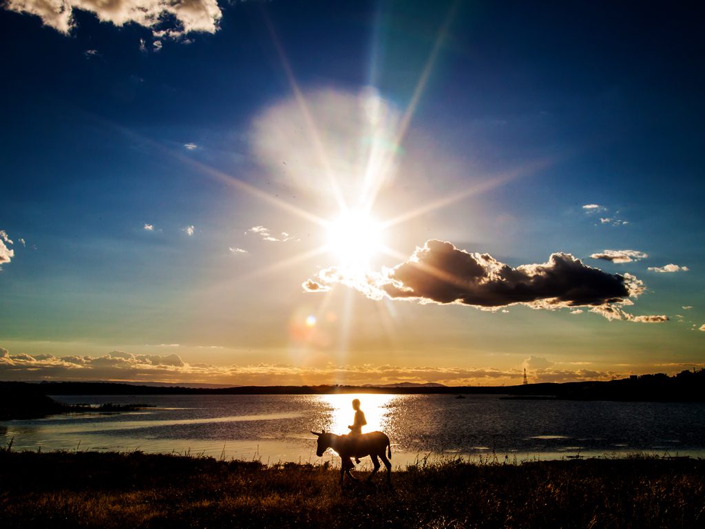 Jumentando ao por do sol
